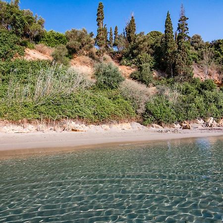 Colonides Beach Hotel Vunária Kültér fotó